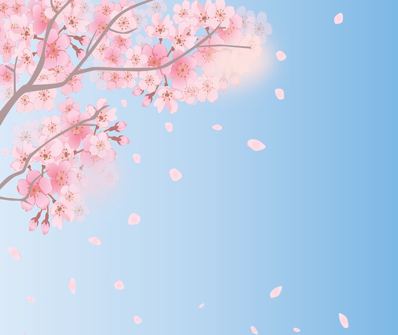 春天背景, 樱花, 天空