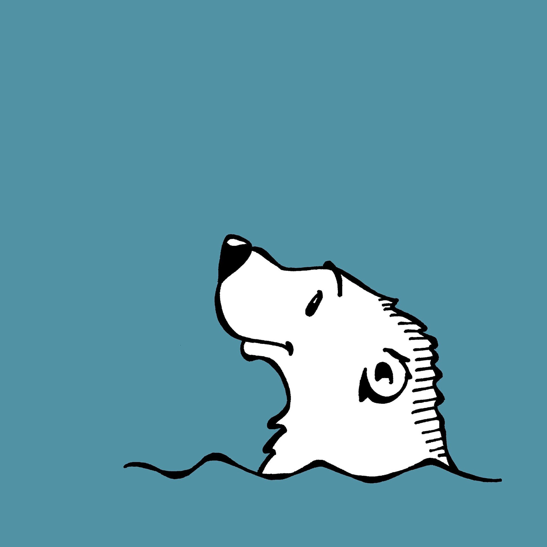 北极熊, 水, 海