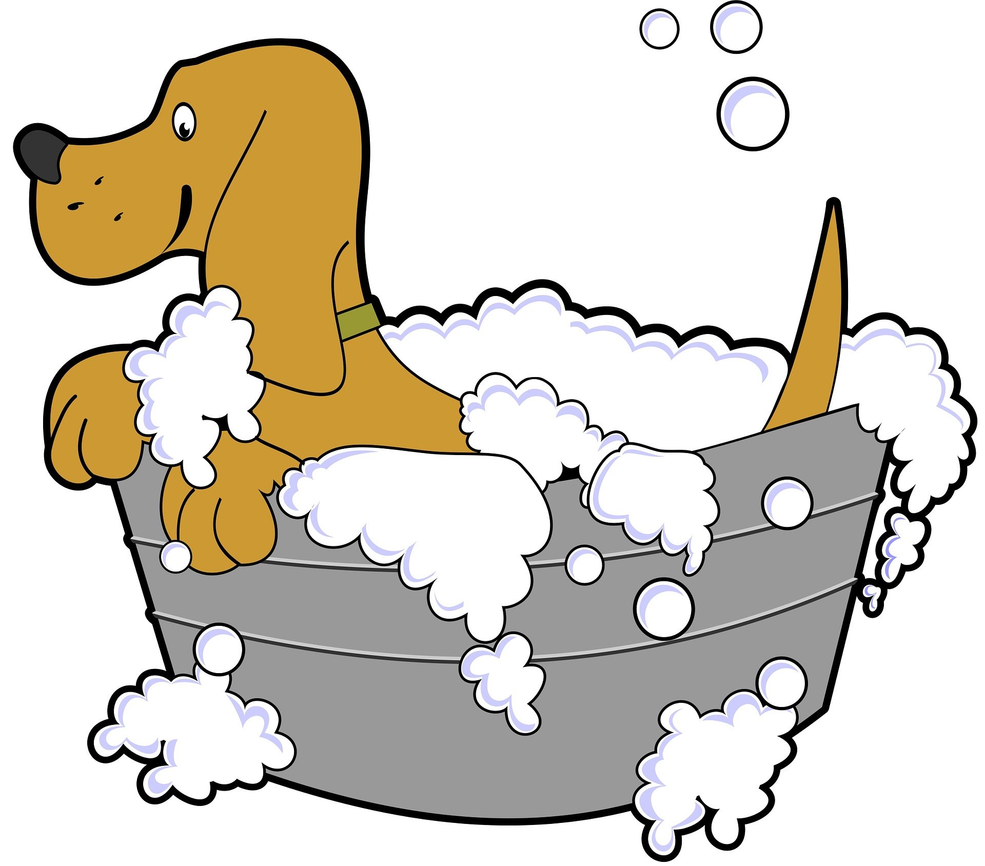 狗, 浴, 卡通