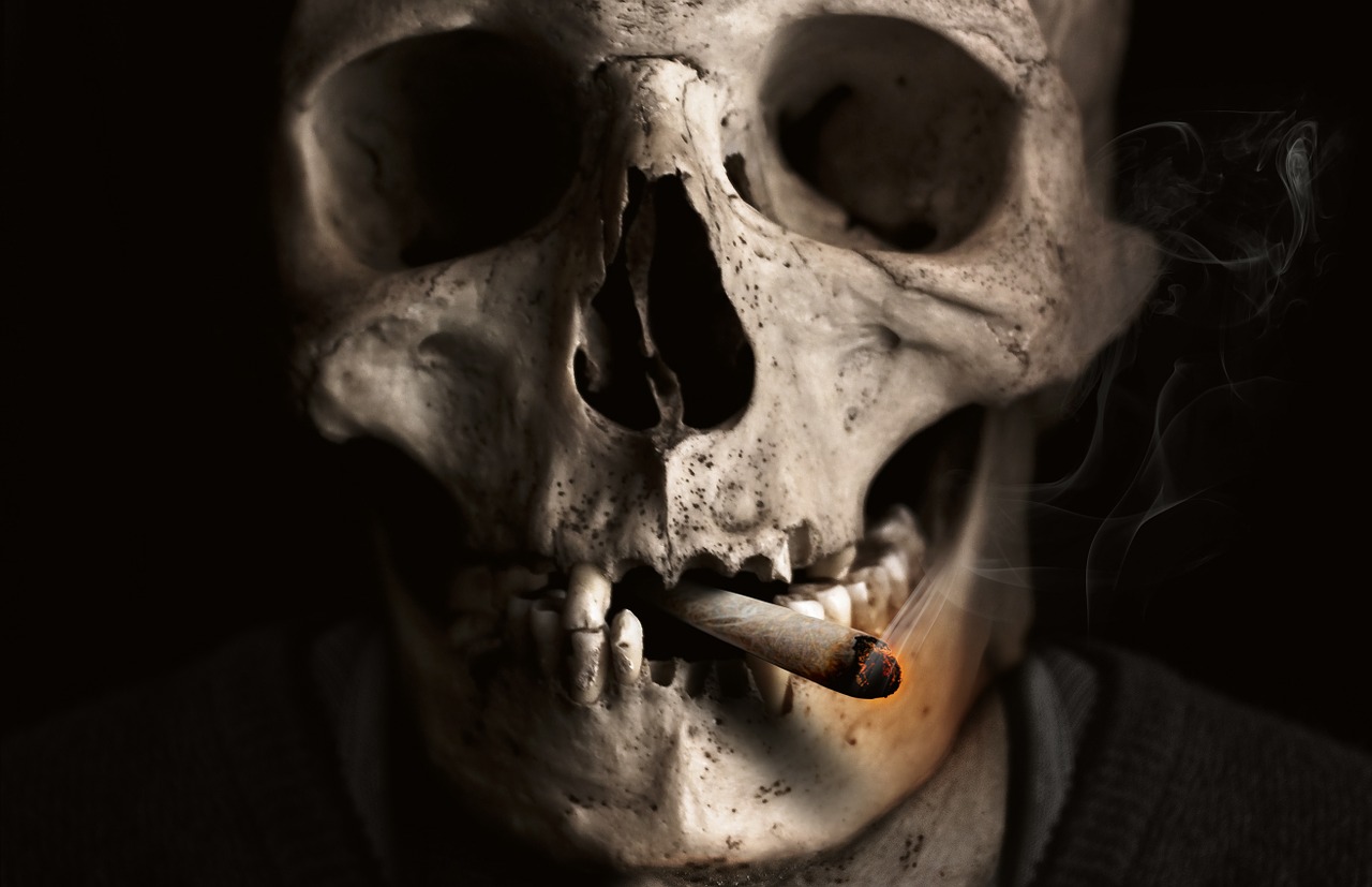 头骨, 骨, 吸烟