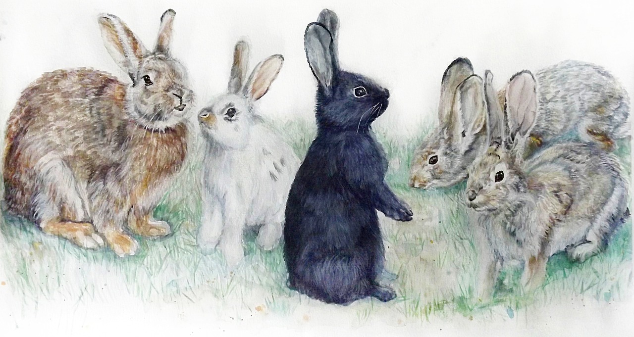 兔, 复活节, 兔子