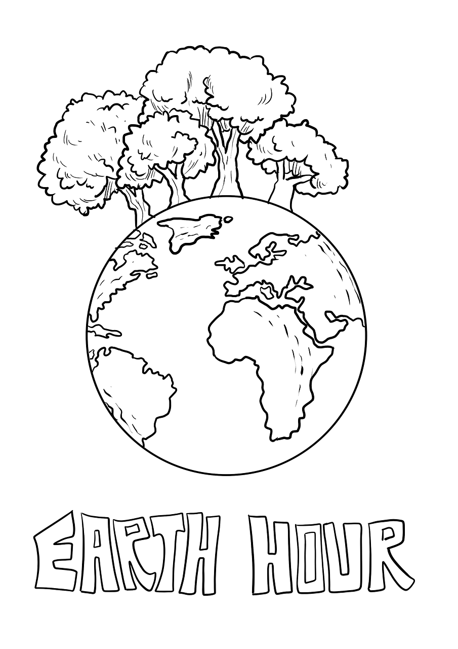 地球一小时, 绘图, 可持续性