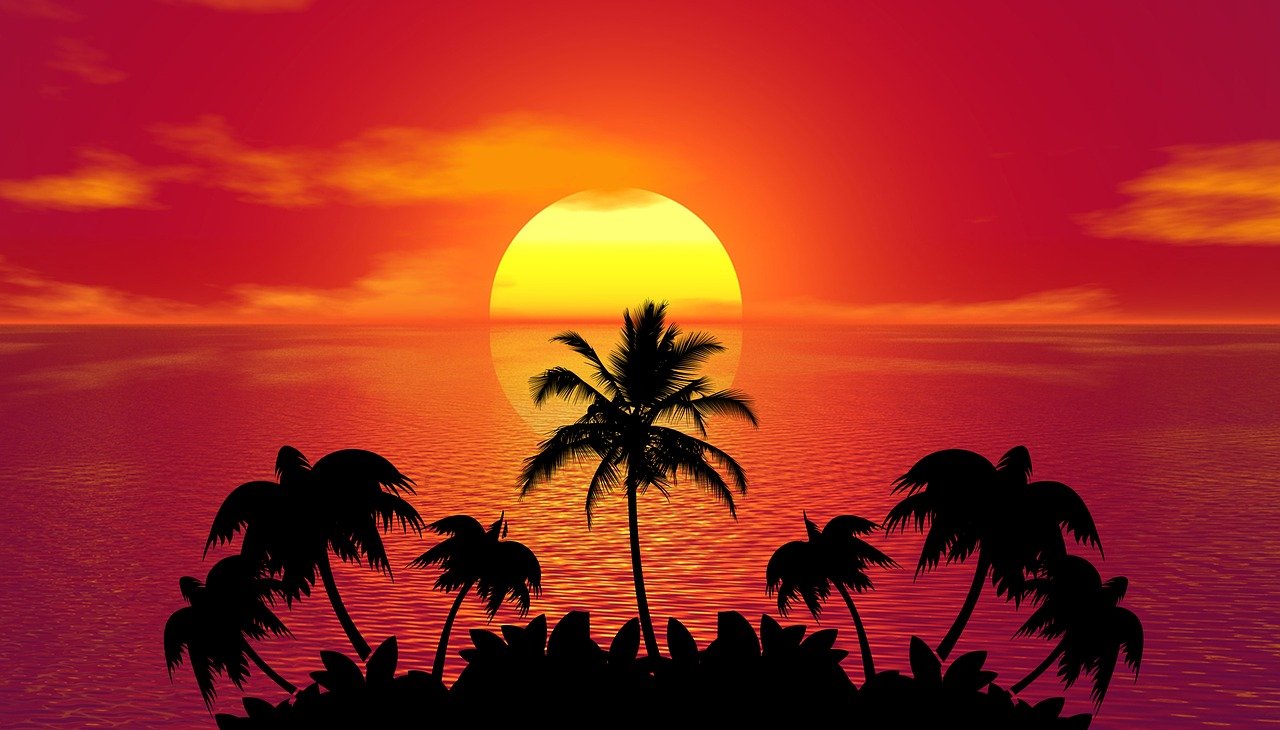 日落, 棕榈树, 剪影