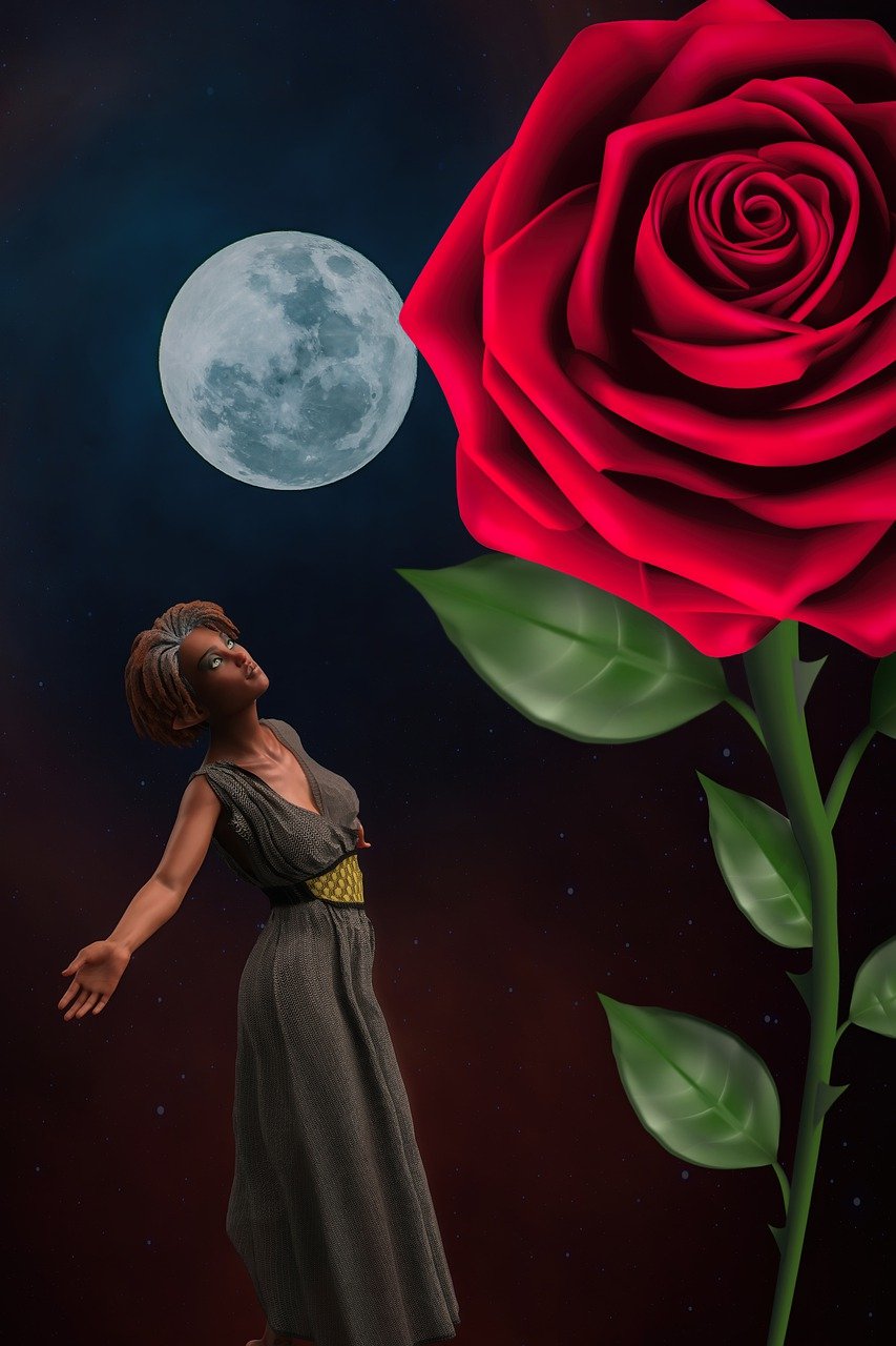 女子, 玫瑰, 月亮