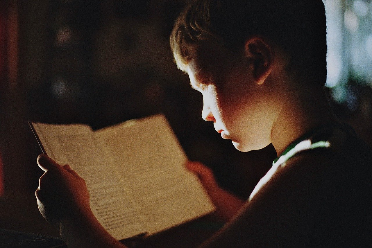 男孩, 书, 阅读