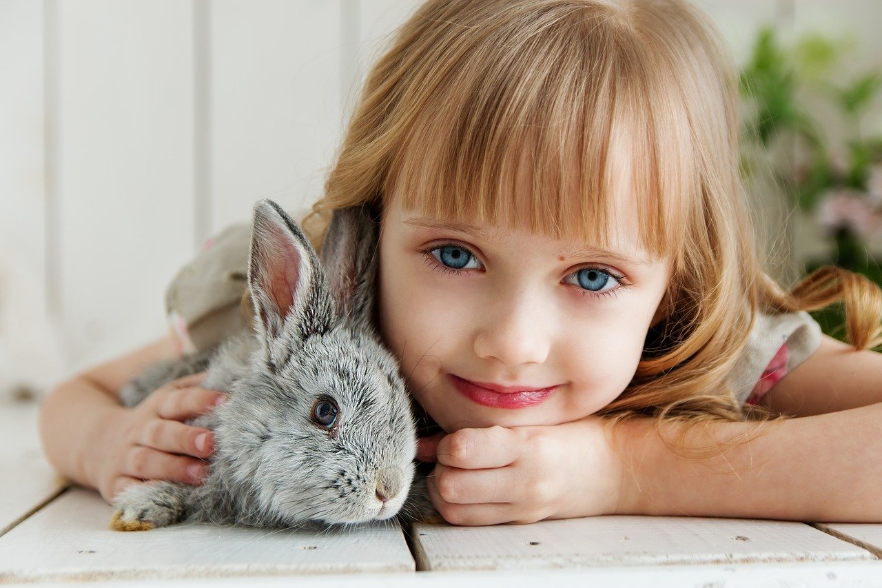 兔子, 野兔, 婴儿