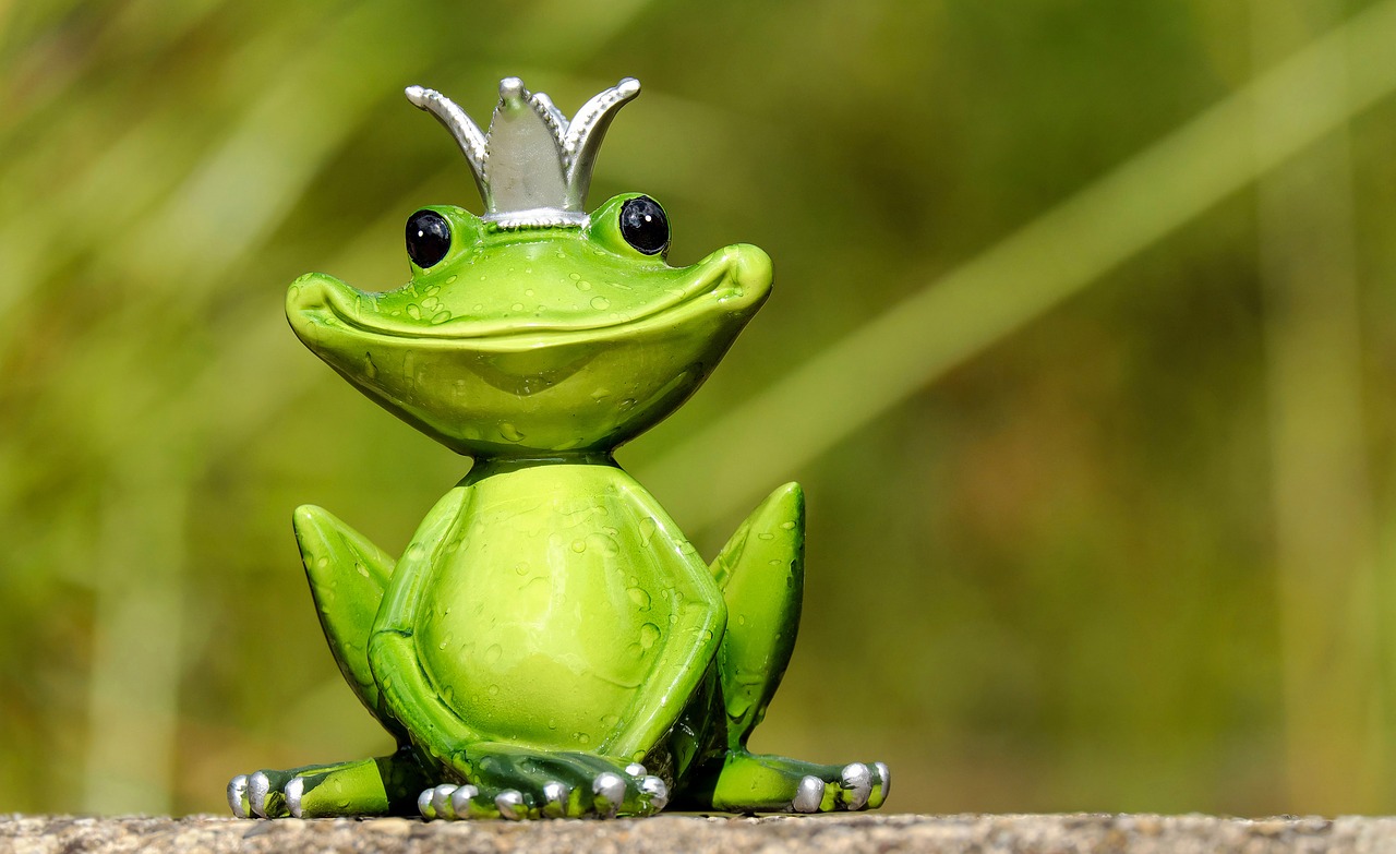 青蛙, 青蛙王子, 王子