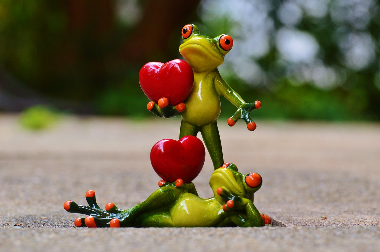 青蛙, 对, 爱情