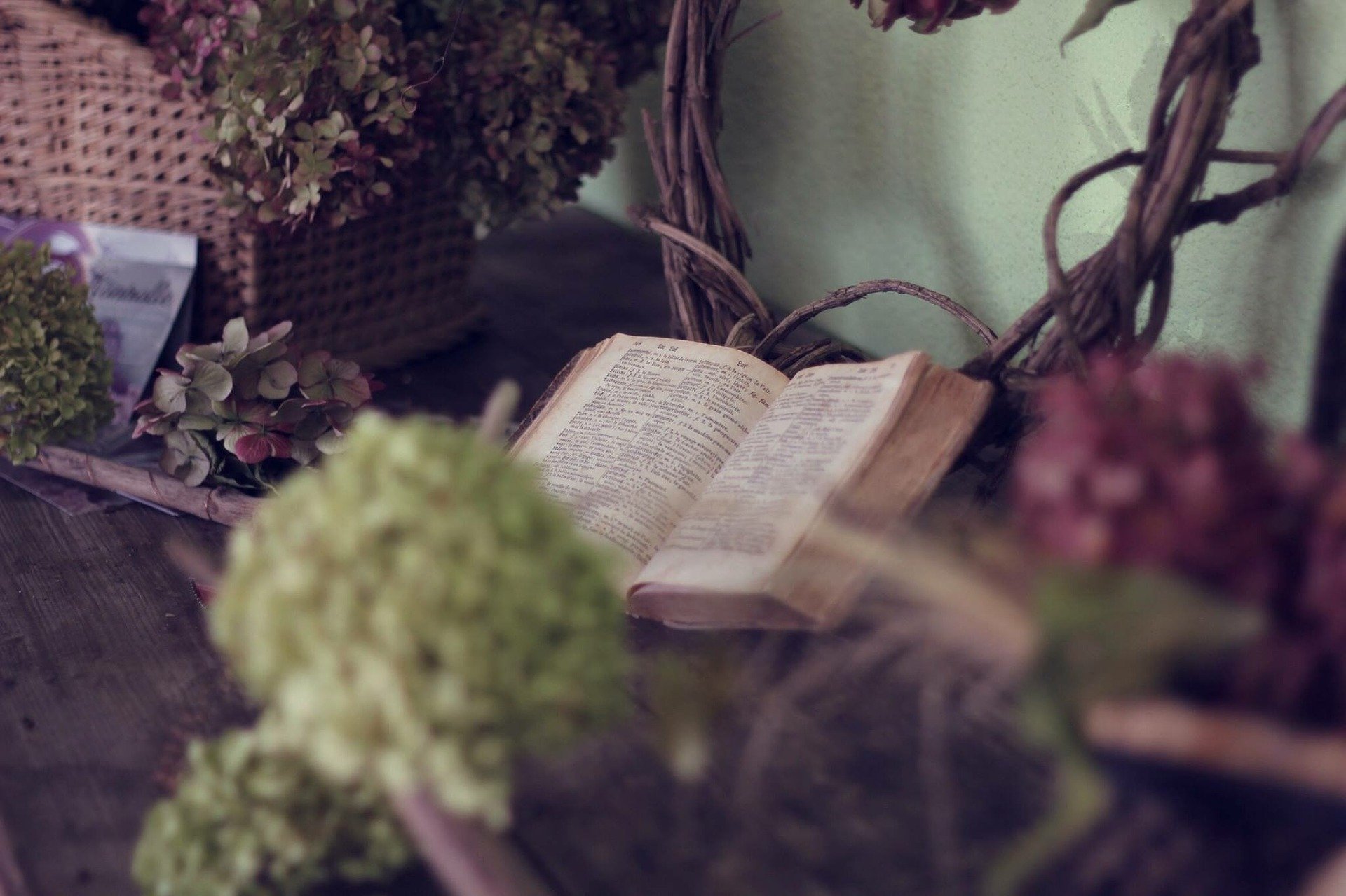 书, 鲜花, 生活
