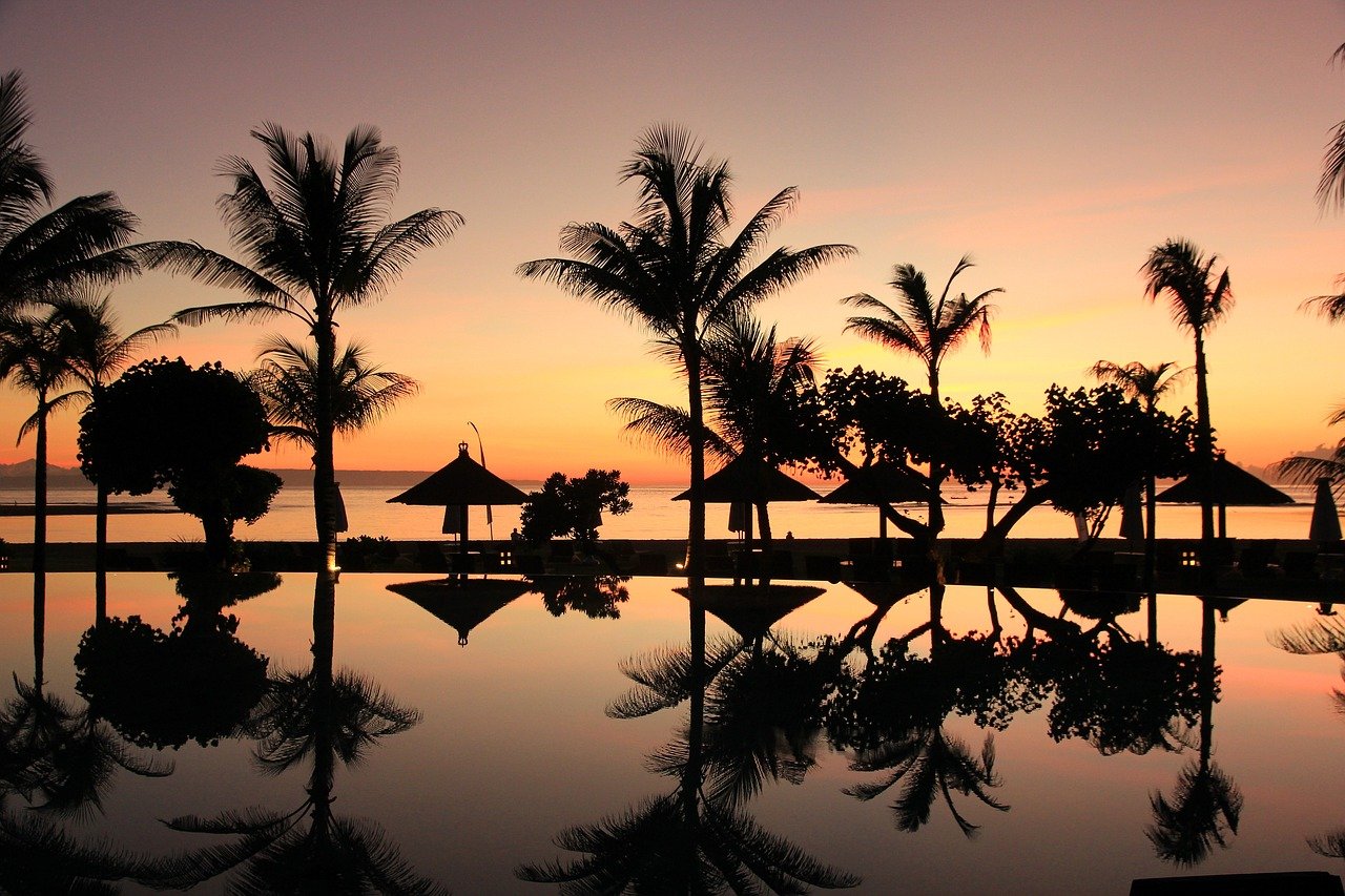 巴厘岛, 棕榈树, 日落