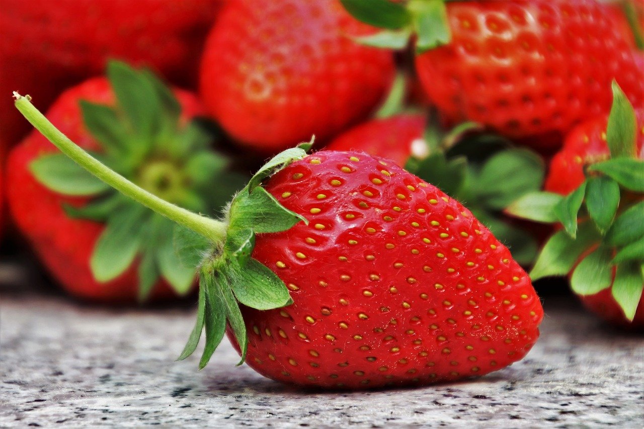 草莓, 水果, 季节