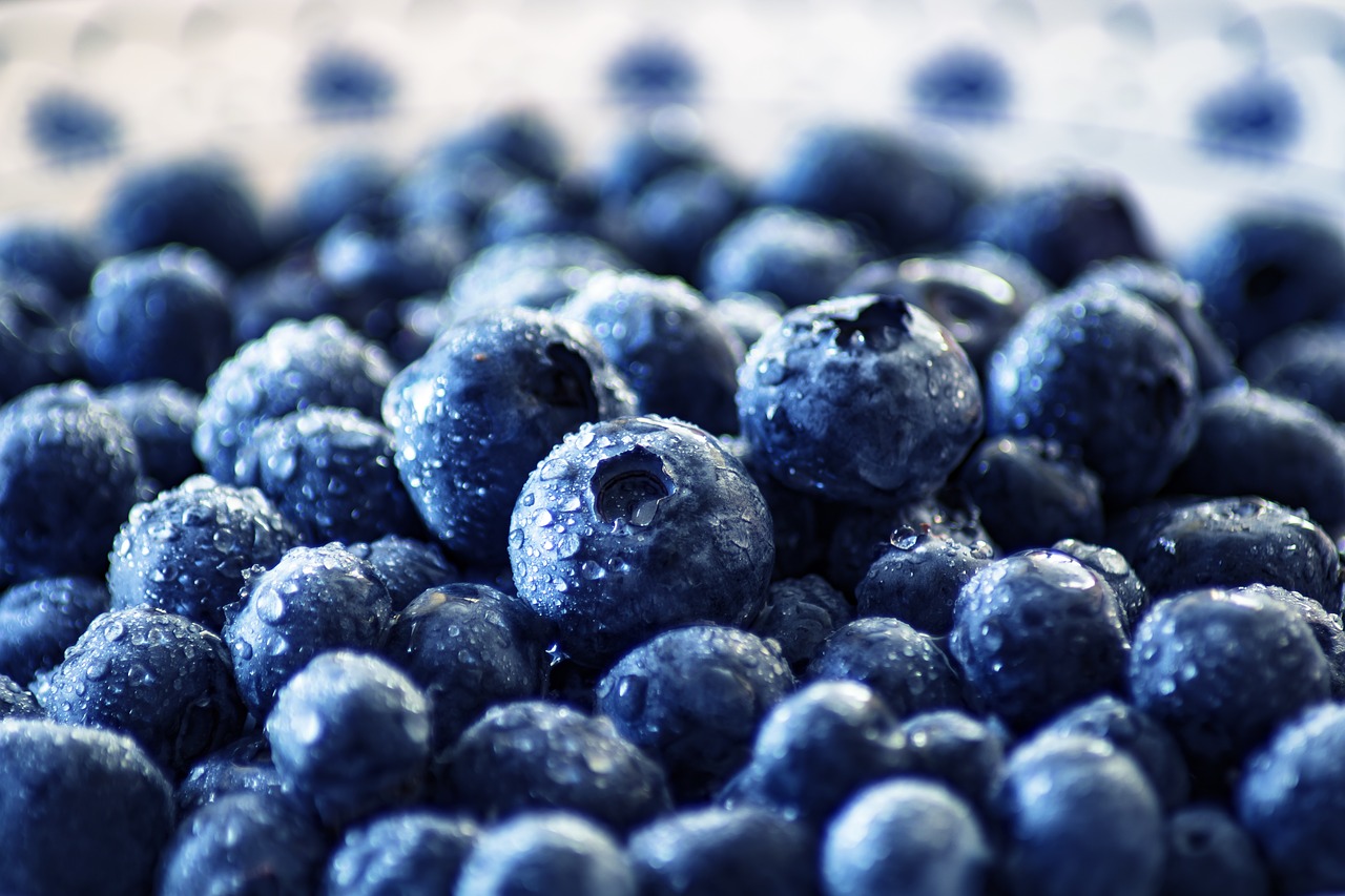 蓝莓, 黑色浆果, 莫尔贝里