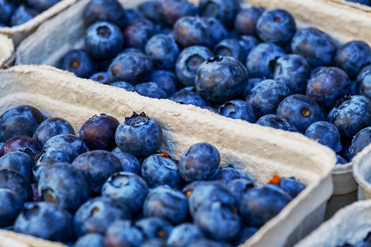 蓝莓, 浆果, 水果