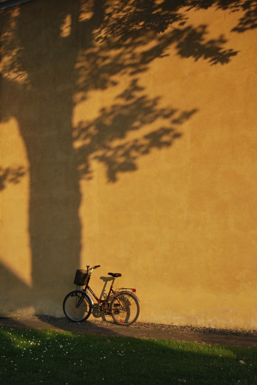 自行车, 草, 墙