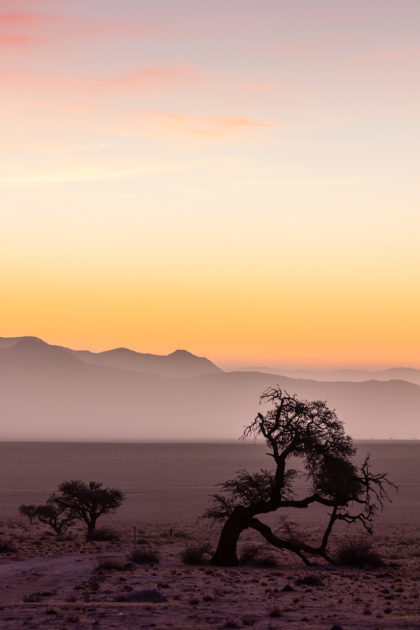 纳米比亚, 非洲, 沙漠