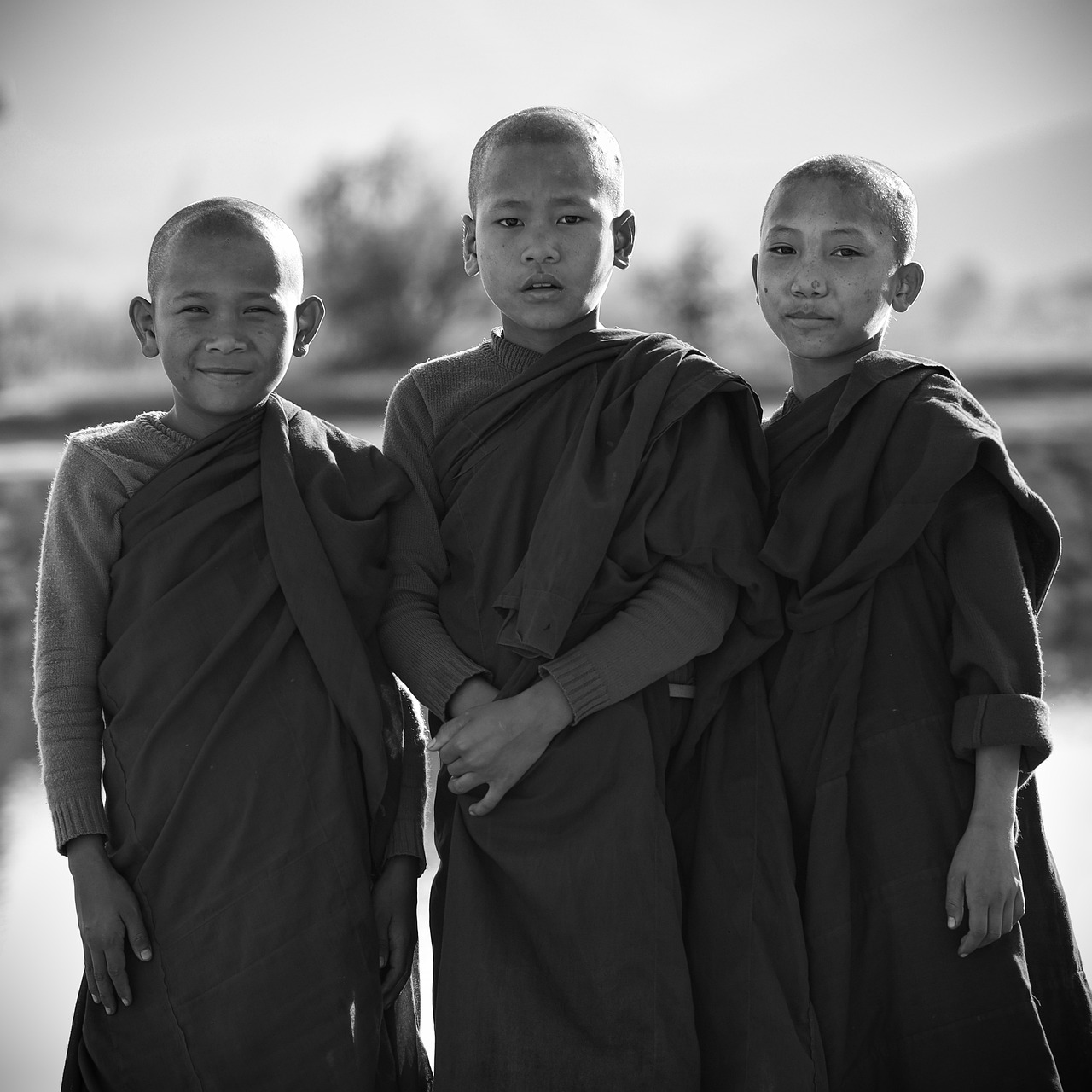 男孩, 佛教, 僧侣