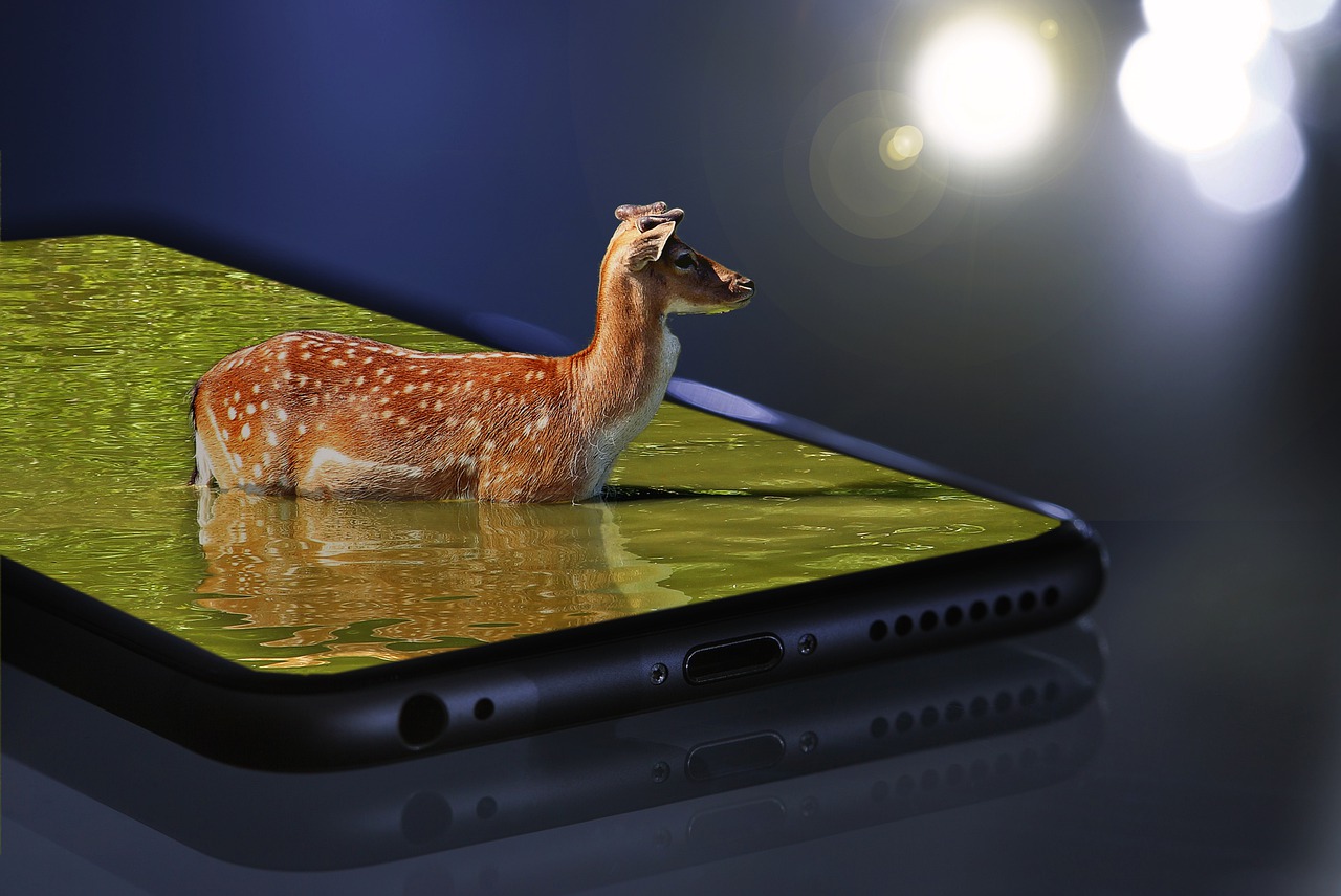 鹿, 屏幕, 智能手机