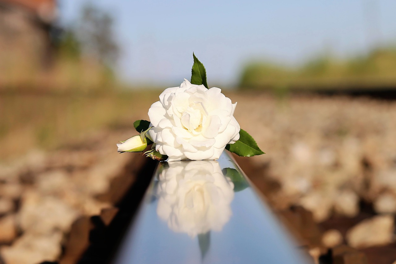 阻止儿童自杀, 小小的脆弱的白玫瑰, 铁路