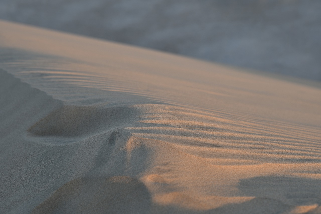 沙, 沙漠, 沙丘