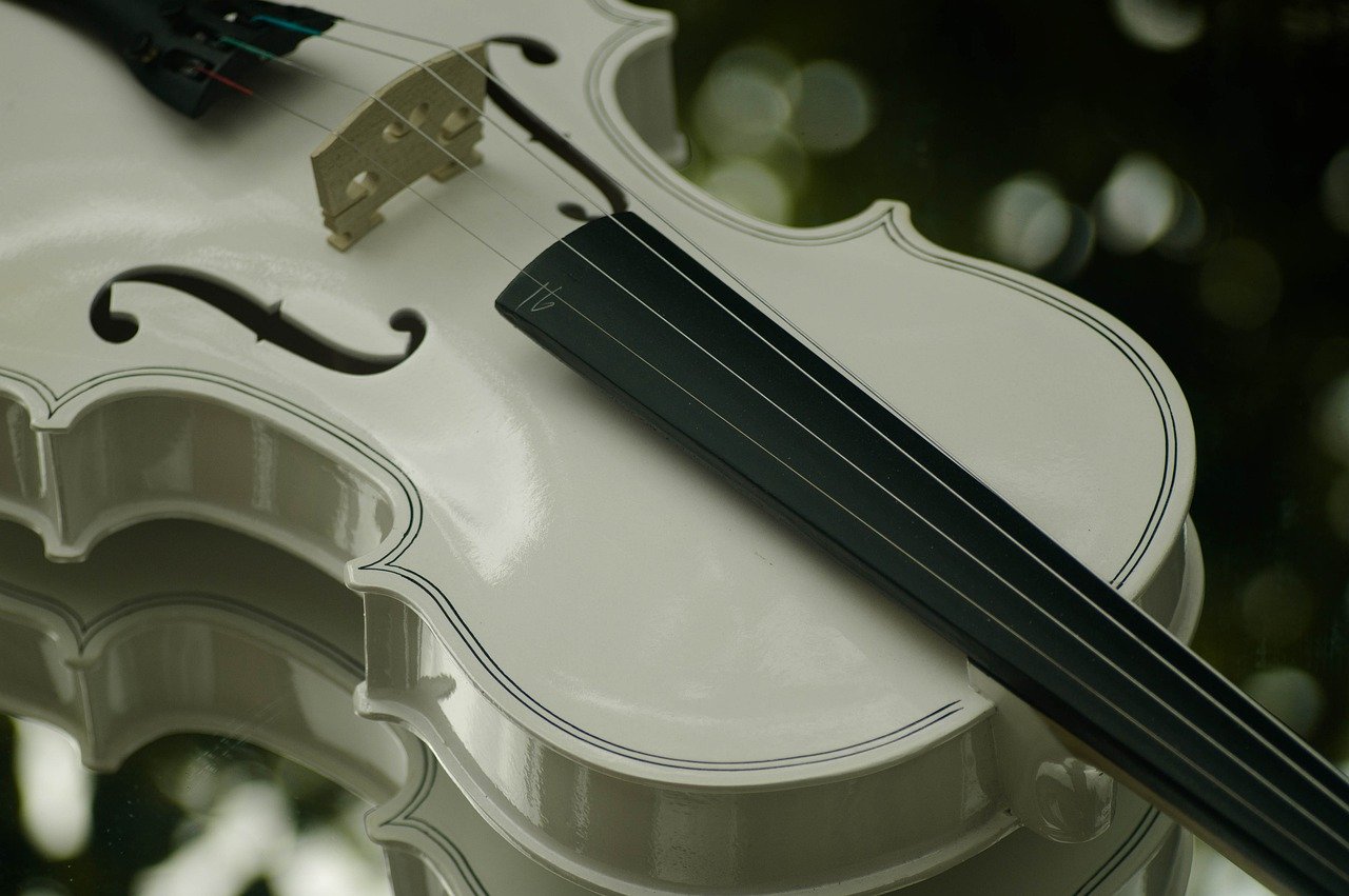小提琴, 音乐, 仪器