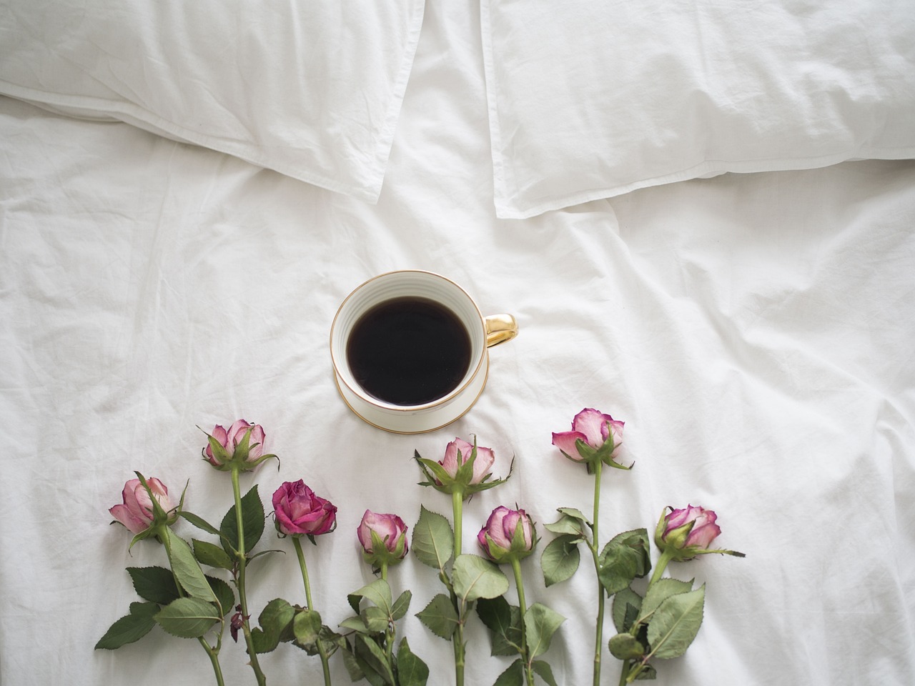 咖啡, 玫瑰, 床
