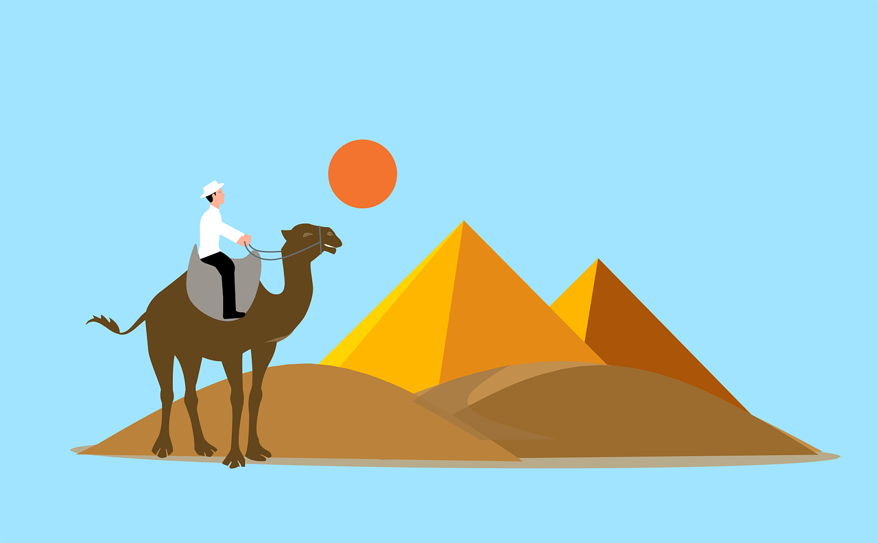 男子, 骆驼, 金字塔