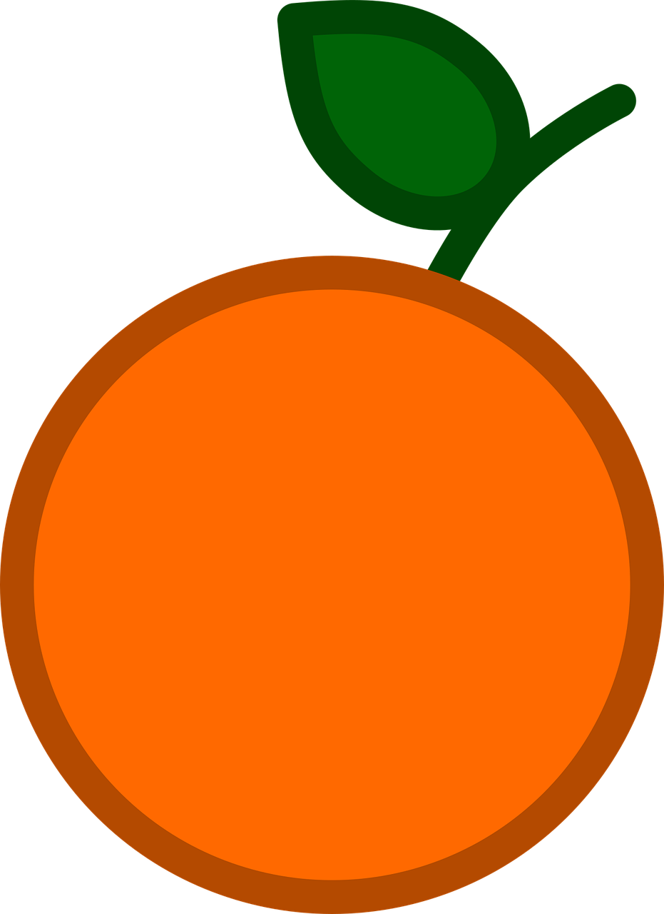 橙色, 水果, 甜