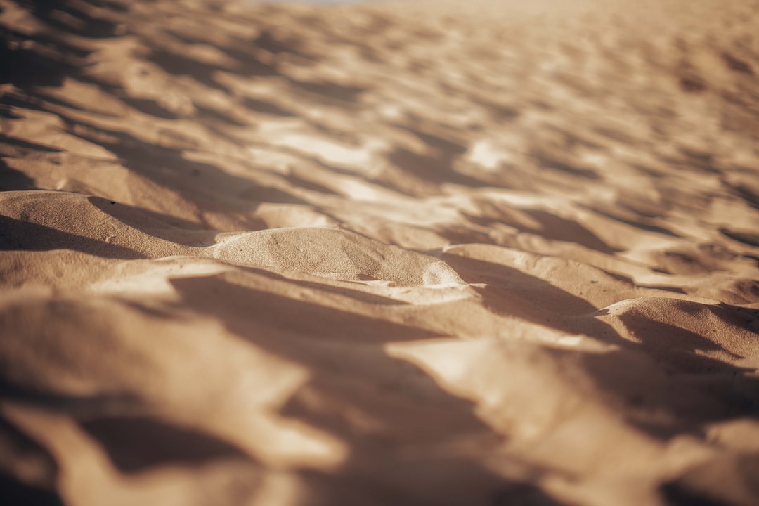 沙子,棕色,白天
