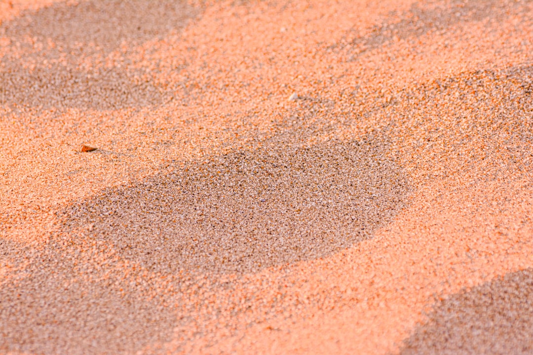 沙子,棕色,白色,白天,夏