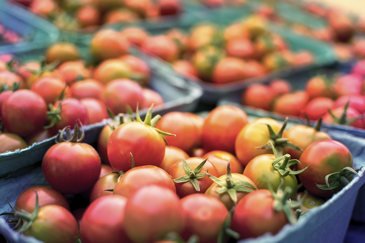 番茄, 健康, 生产