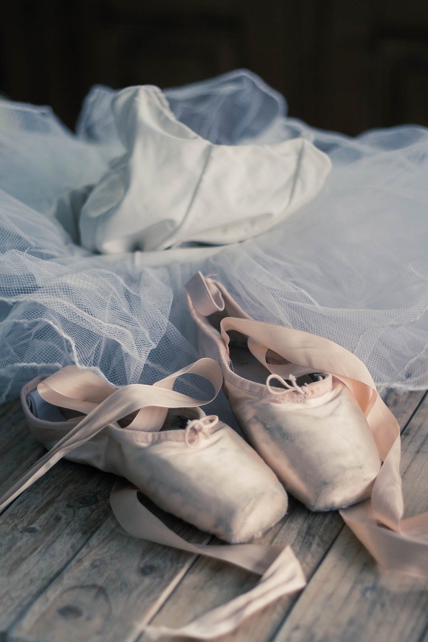拖鞋, 舞蹈, 芭蕾舞团