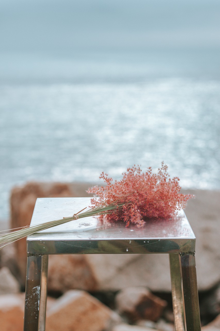 鲜花, 椅子, 海岸